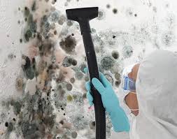 Best Residential Mold Inspection & Testing  in Ellington, MO